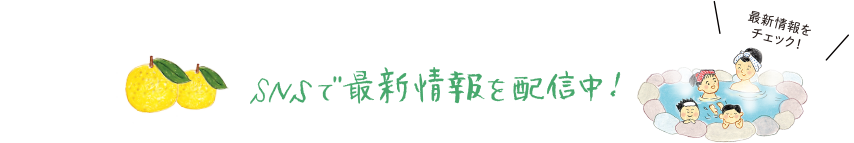 SNSで最新情報を配信中！