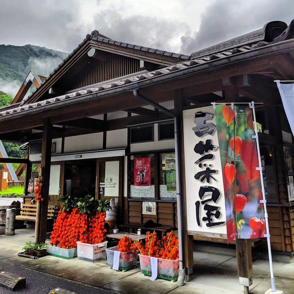 ほおずき市・百菜屋
